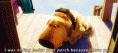 /album/photogallery/a1354773060139110-animate-gif/