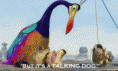/album/photogallery/tumblr-lld3foyr3x1qg64aho1-500-gif/