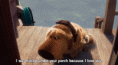 /album/photogallery/tumblr-lyvk9usj3o1qb9pa3o1-500-gif/