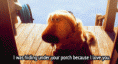 /album/photogallery/tumblr-m8z1hoykdi1qm6oc3o1-500-gif/